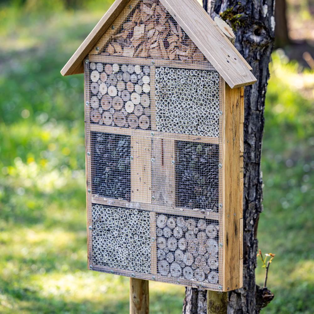 la Biodiversité une priorité au Hameau des Laurières-presta