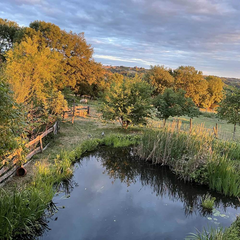 contemplation-jardin-aquatique-vue-vallee-saisonnee-bien-etre-aveyron.jpg-gallery