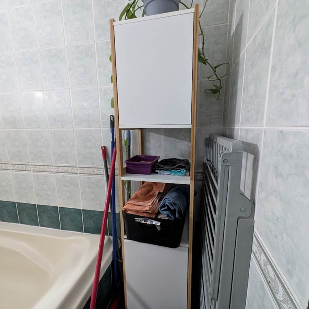 T2 Frangipanier , meuble et plante salle de bain