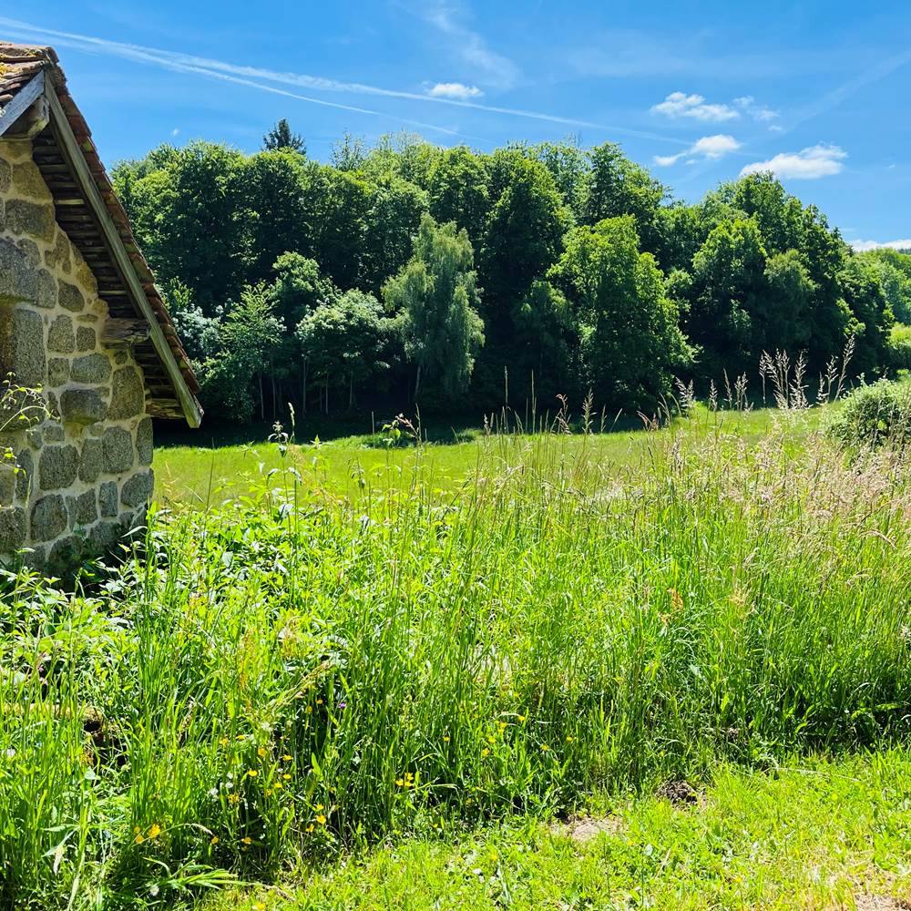La marche des bois - Vue de la terrasse au printemps-presta