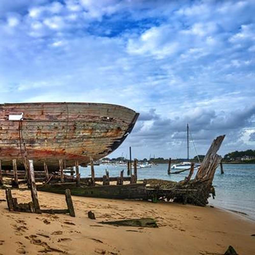 themagouer4842061640-galerie