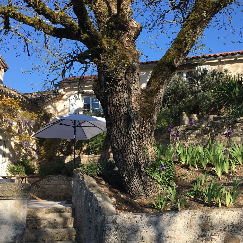 Terrasse du vieux chêne-presta