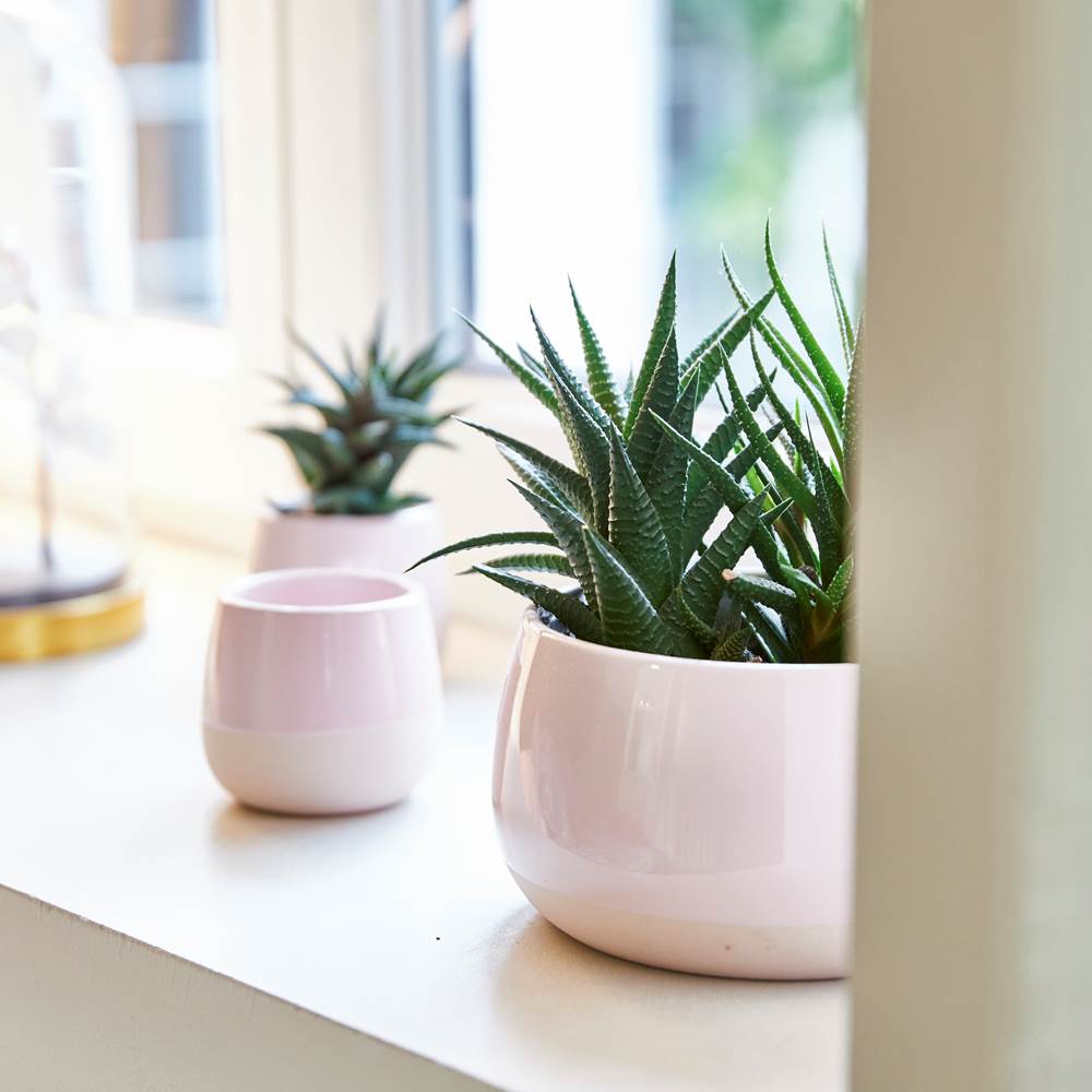 zeyssolff-gites-restau_3022