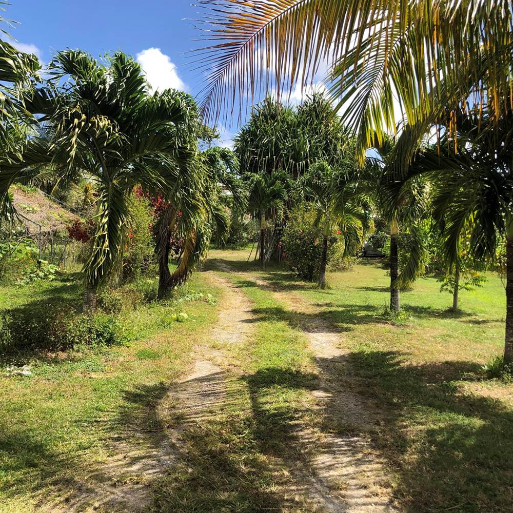 Entrée  MounKaPoussé-presta