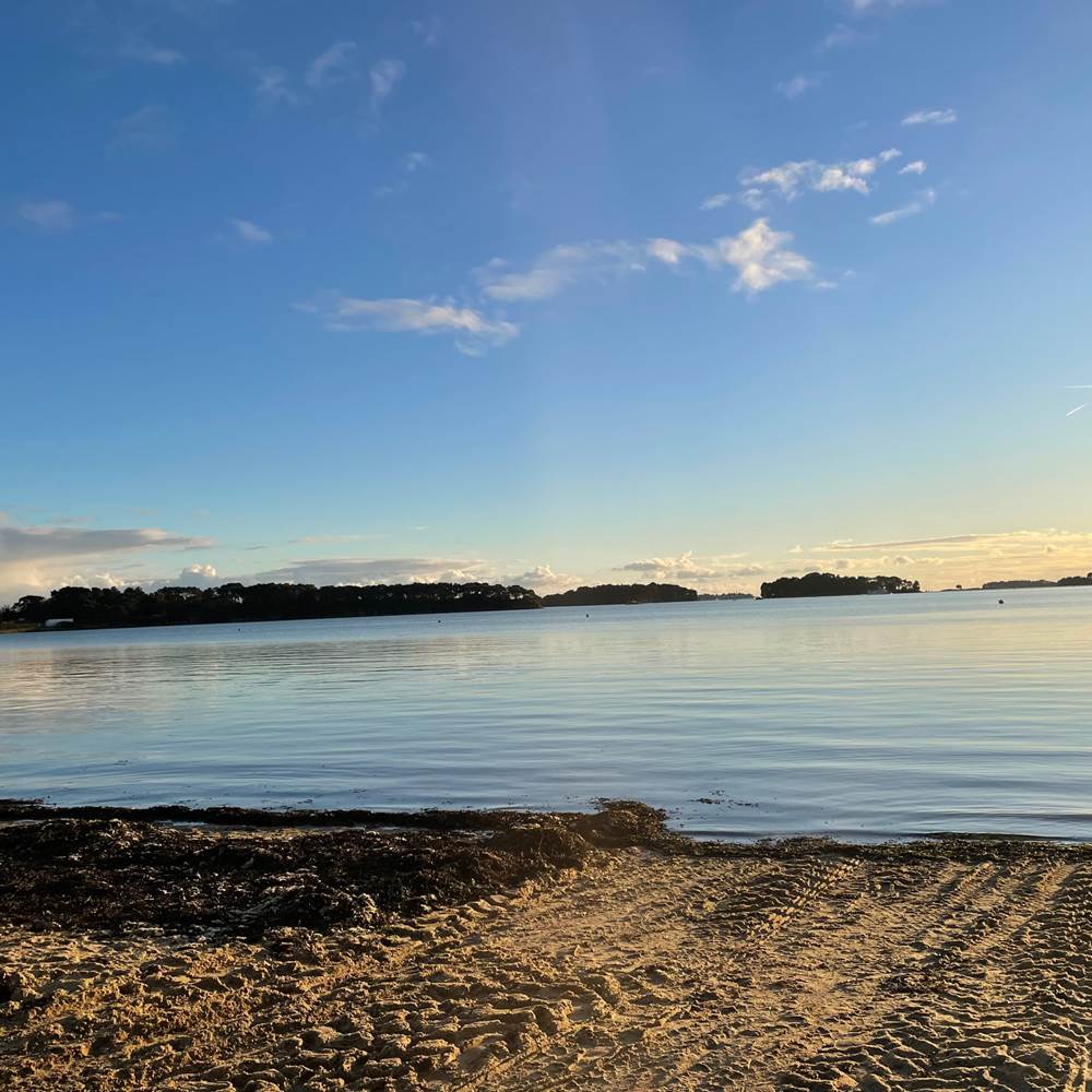 Plage de Locmiquel 14 Decembre 2024-gallery