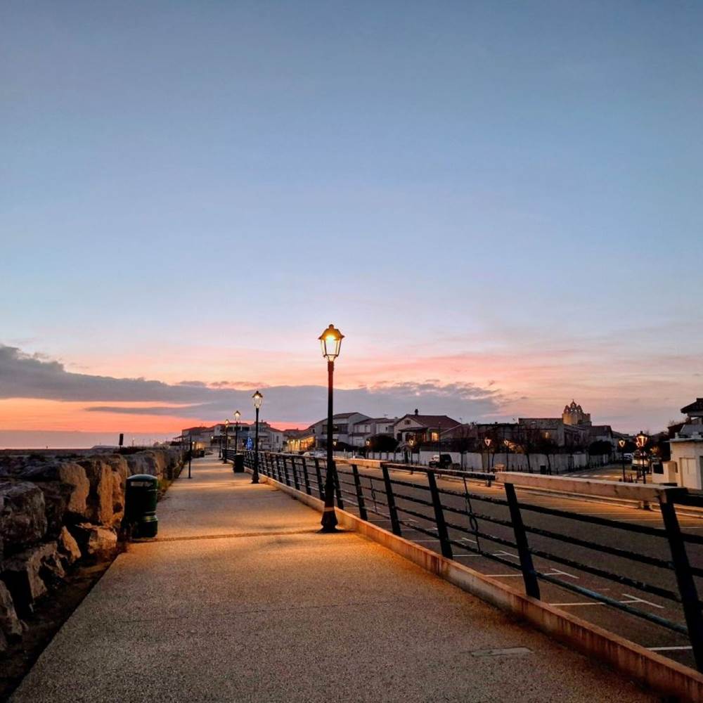 8f919e86-9ad4-4dad-9e57-e62a0d37b3c7~1-presta