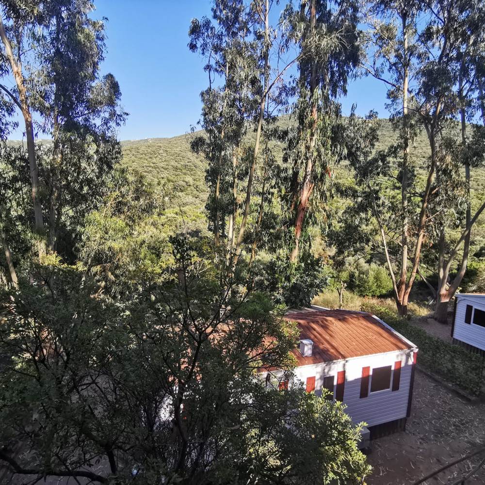 mobil-home-corse-golfe-valinco-plage-propriano-presta