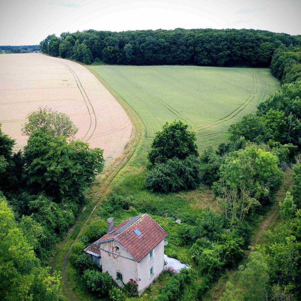 DJI_0028 (1)