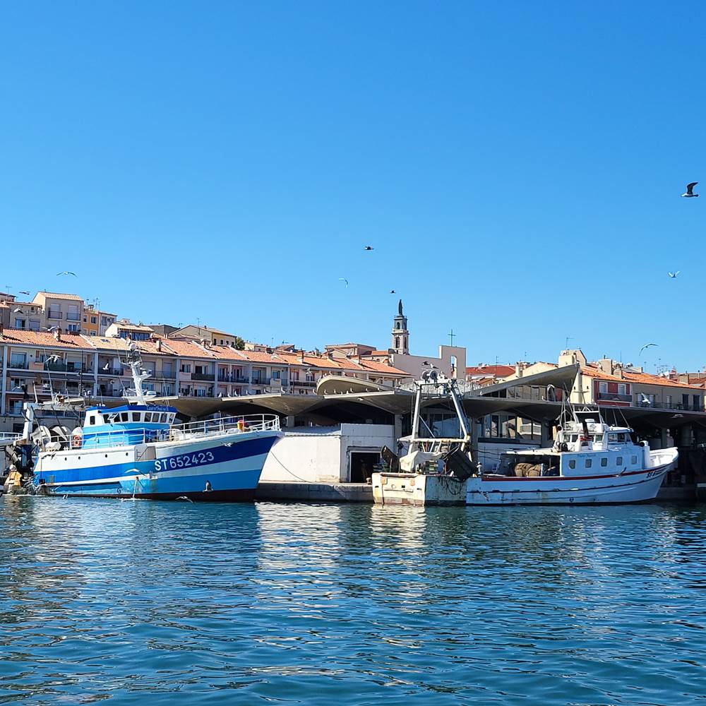 20220824_163859-presta