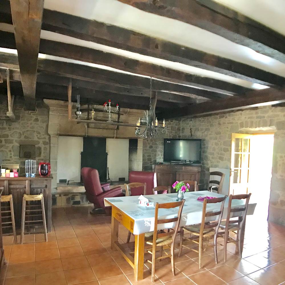 Pièce à vivre avec cheminée monumentale