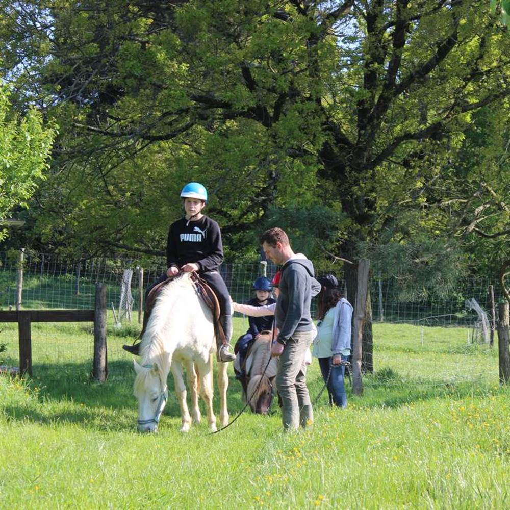 balade à poney-gallery