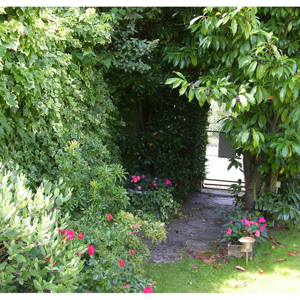 Entrée complémentaire-gallery