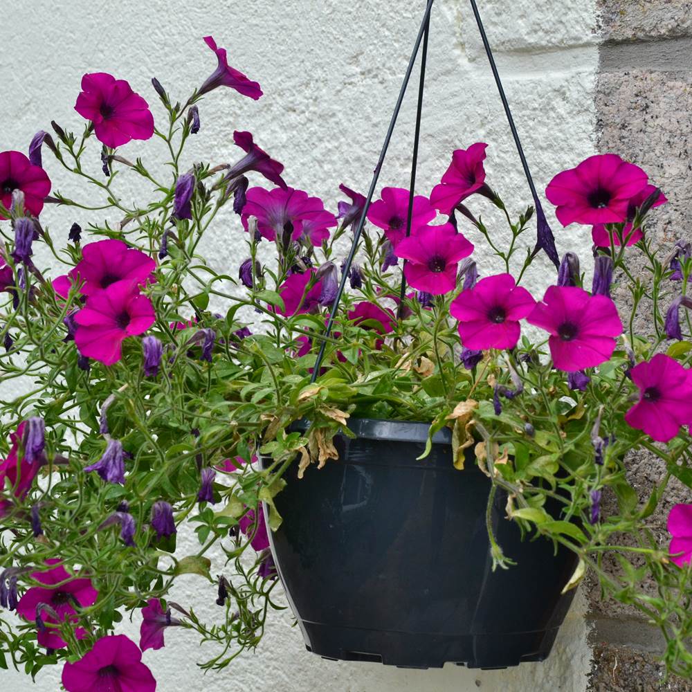 Le-moulin-d'Hélène-Meymac-Corrèze-presta