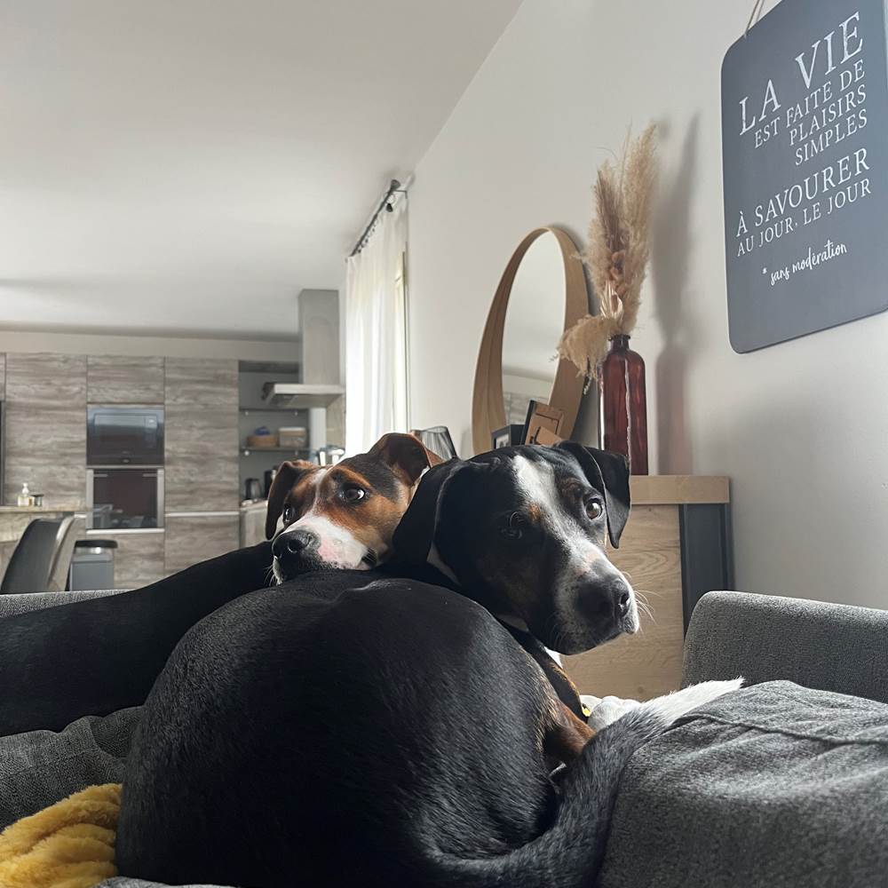 tempImagemgzViy-gallery