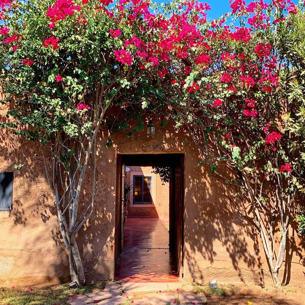 BOUGAINVILLIERS-presta