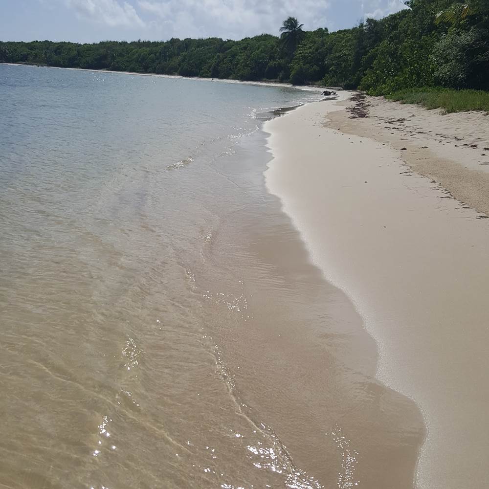 20170831_145033-gallery