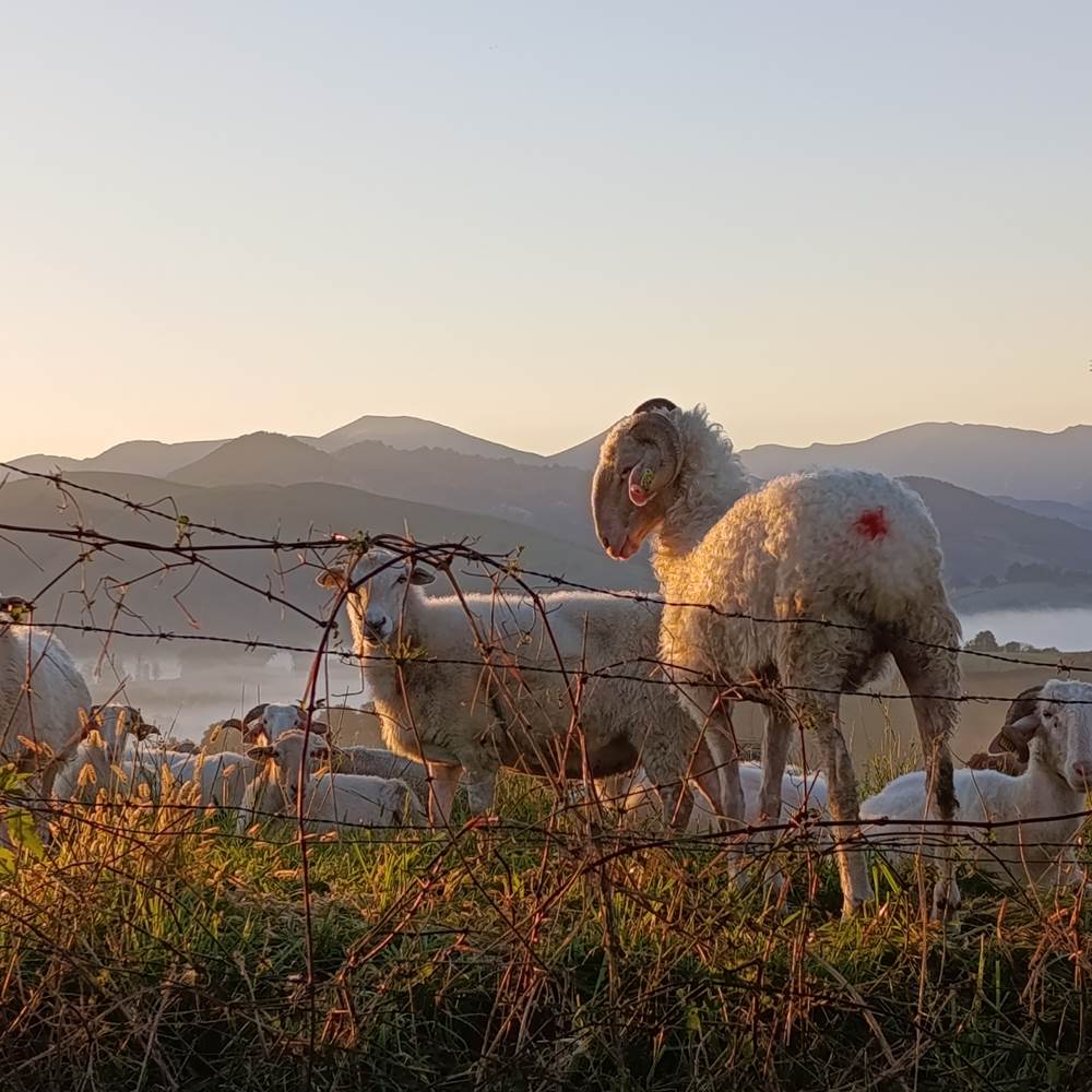 985c1b57-20aa-4e51-b6d1-5d0074da6a3e-1_all_7954-gallery