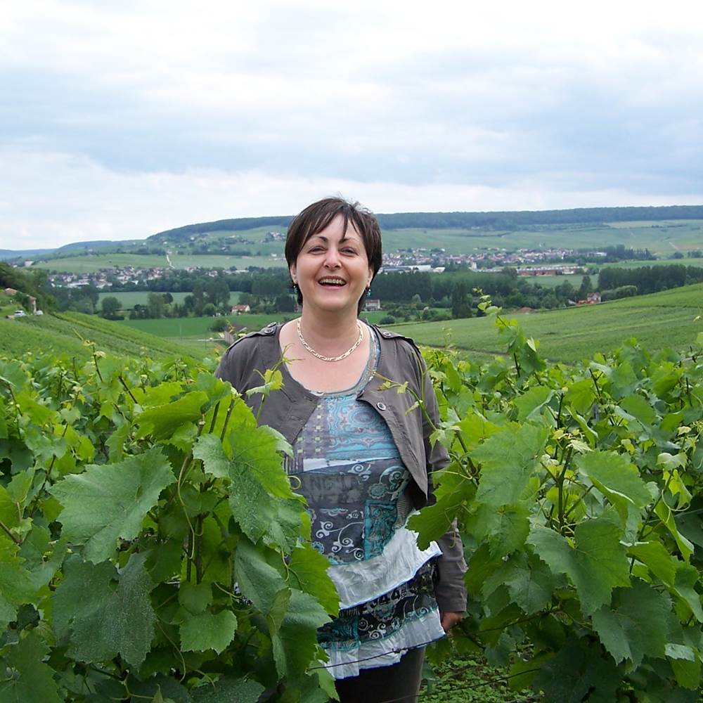 Vendanges en Champagne-gallery