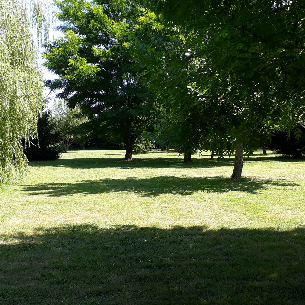 Vue du parc-gallery