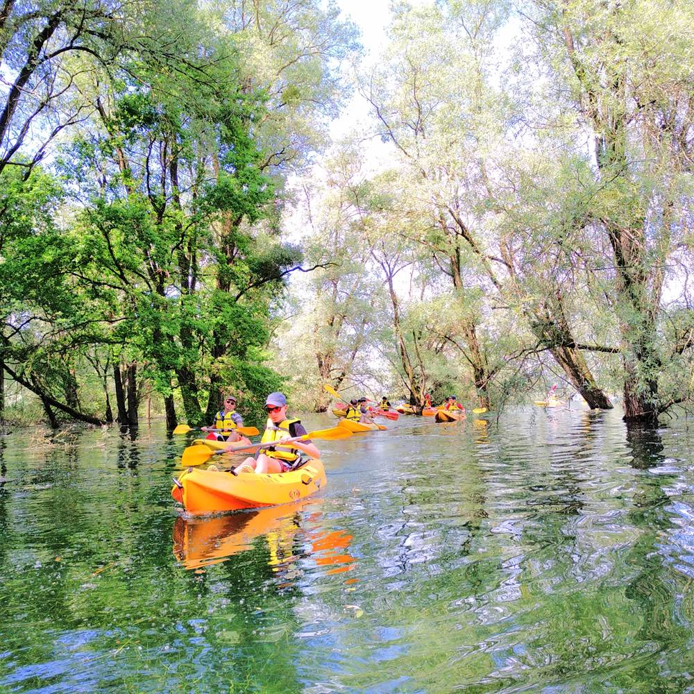 IMG_20190531_151511-presta