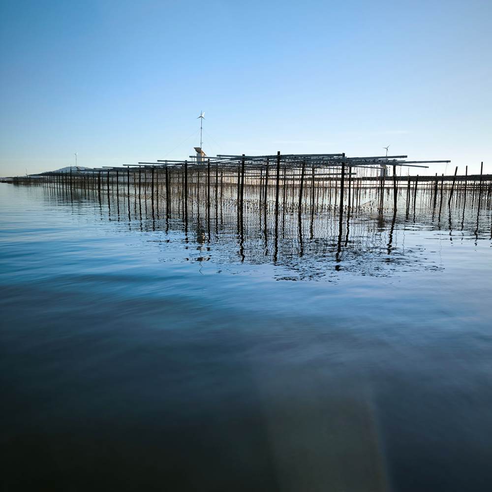 IMG_20241228_155013-presta