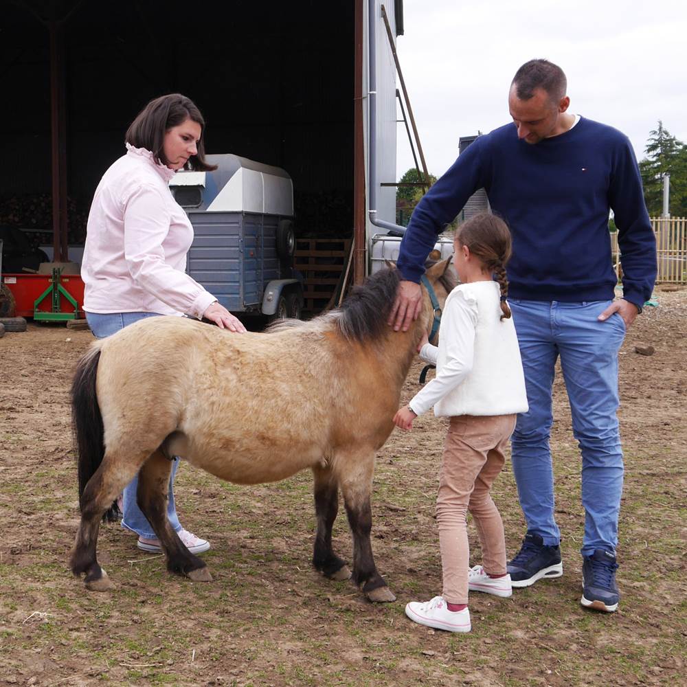 activité en famille