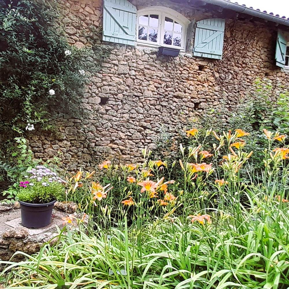 20240614_104209-special-offers