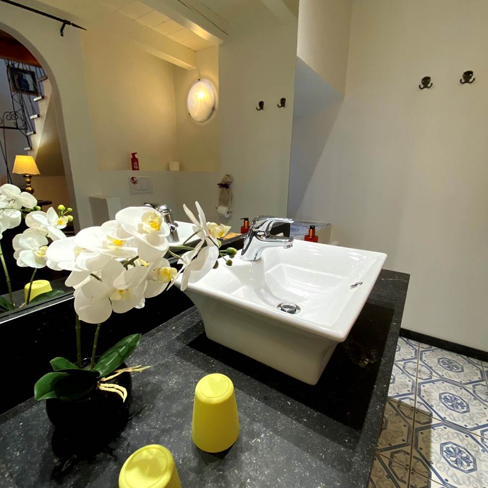 salle de bain chambre Sirius-presta