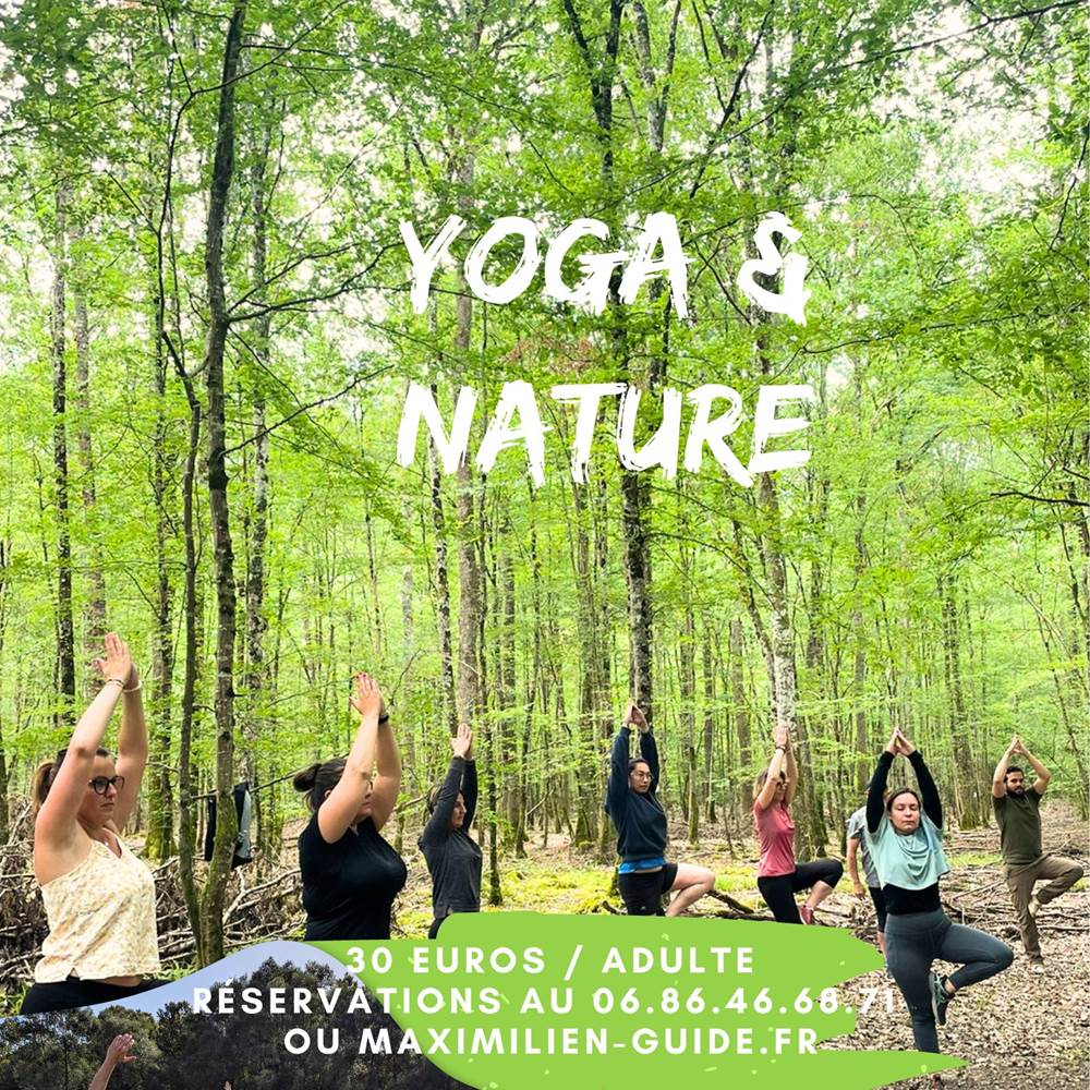 yoga nature-presta