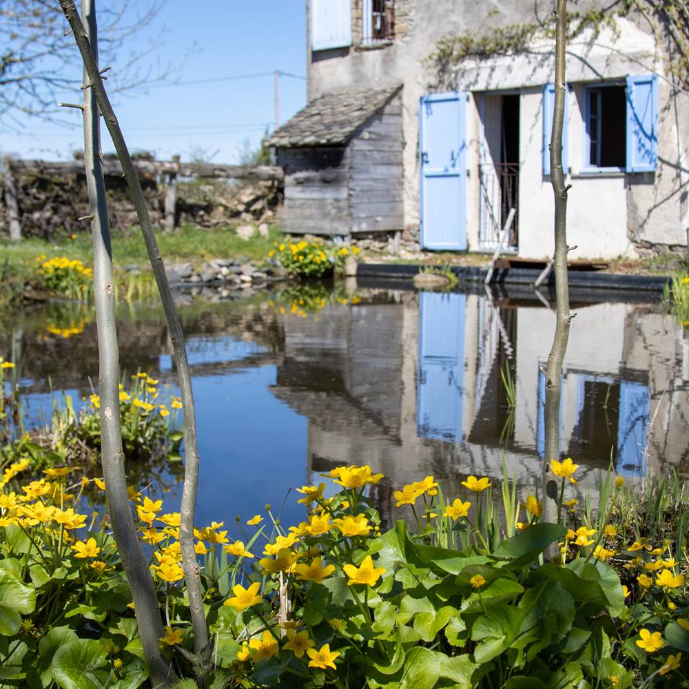 etang-fleurs-maison-hotes-aveyron-presta