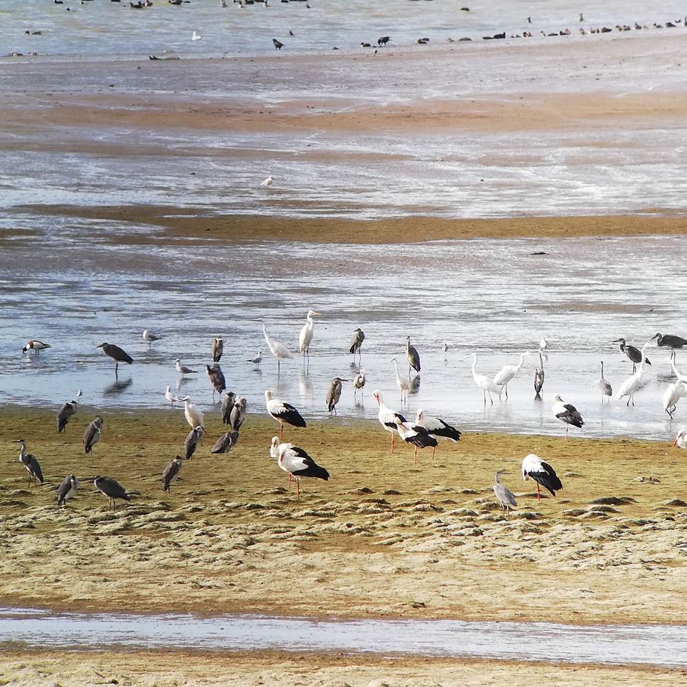 IMG_20191103_120227-presta