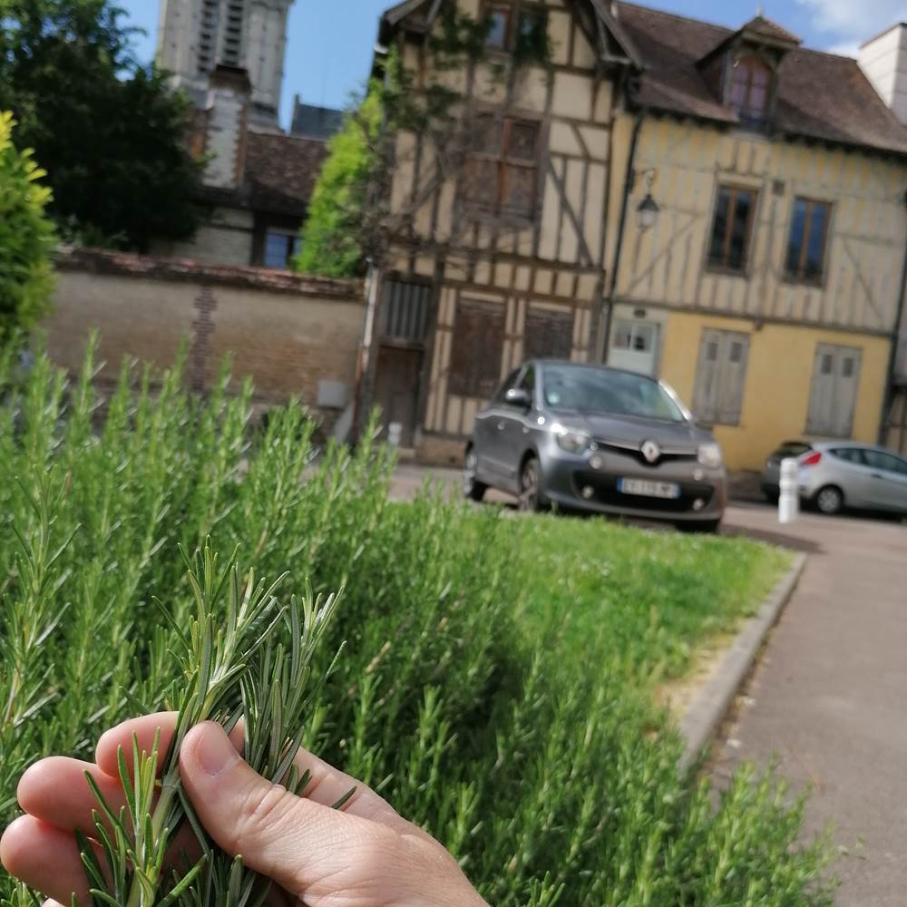 IMG_20200525_171514-presta