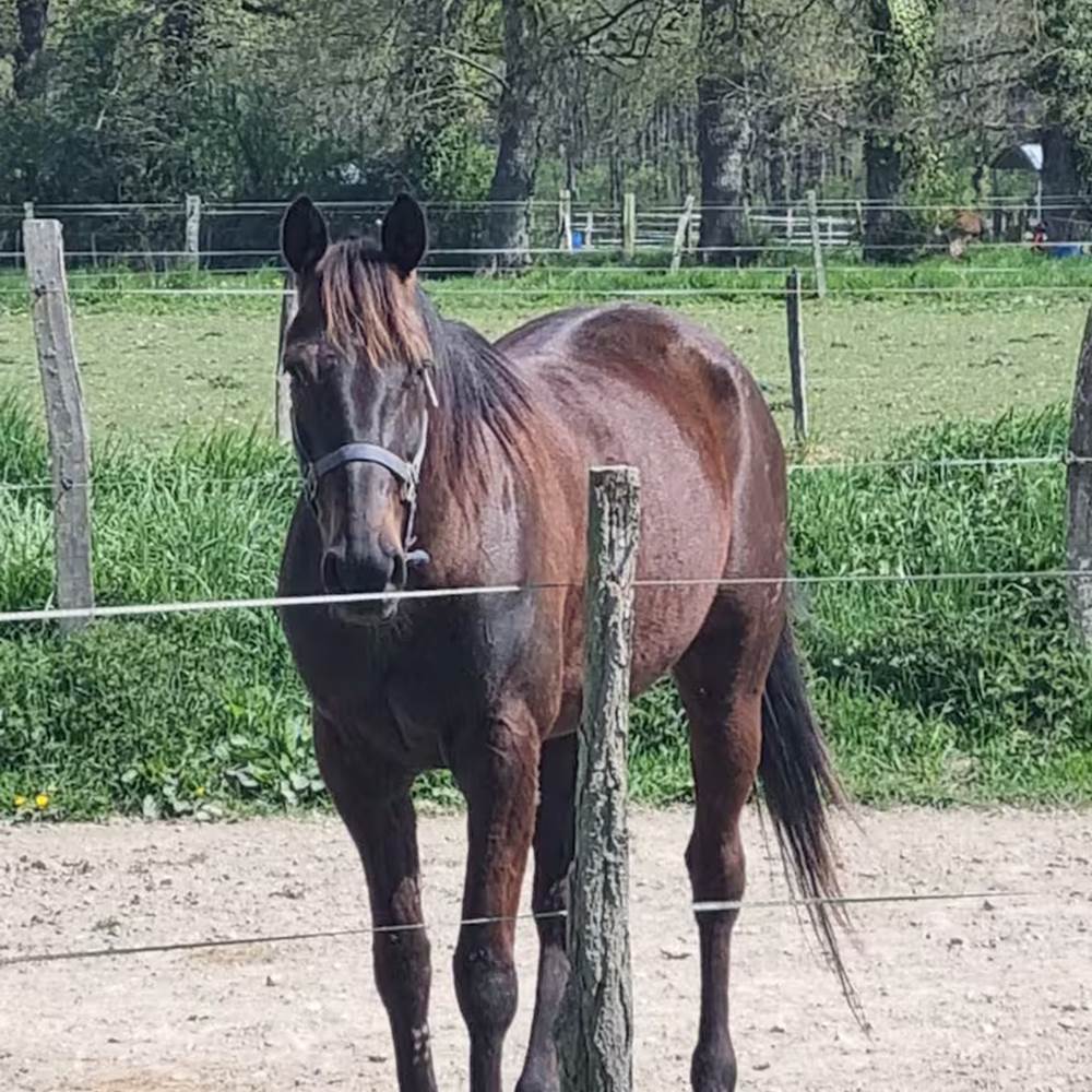 d77d8adf-673d-4af9-8638-722ca4700b51-galerie