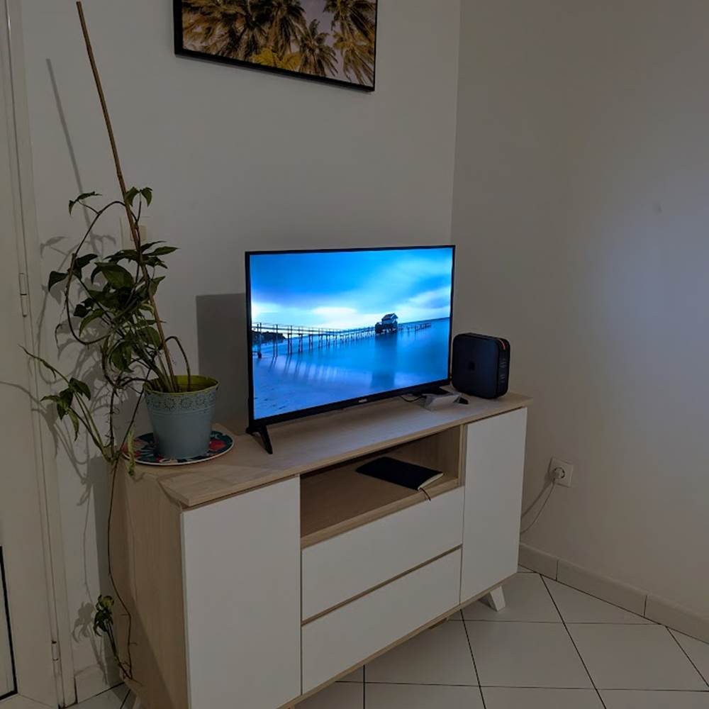 T2 Le frangipanier