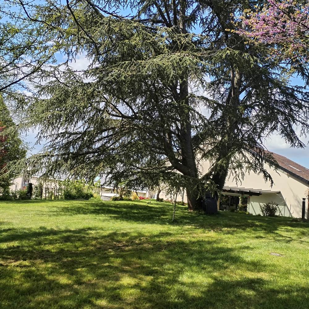 Jardin arboré partagé-presta