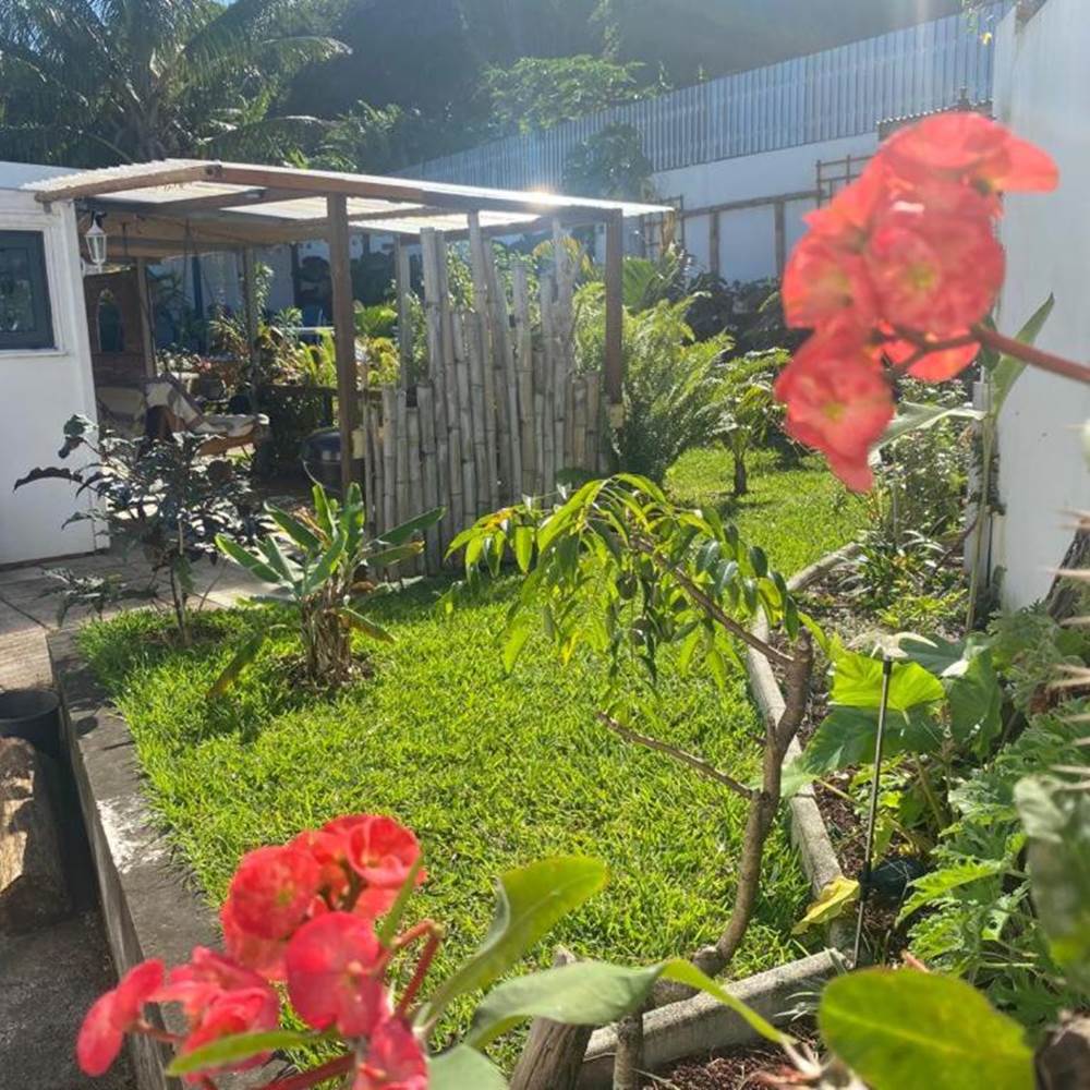 LES TOURTERELLES - Jardin