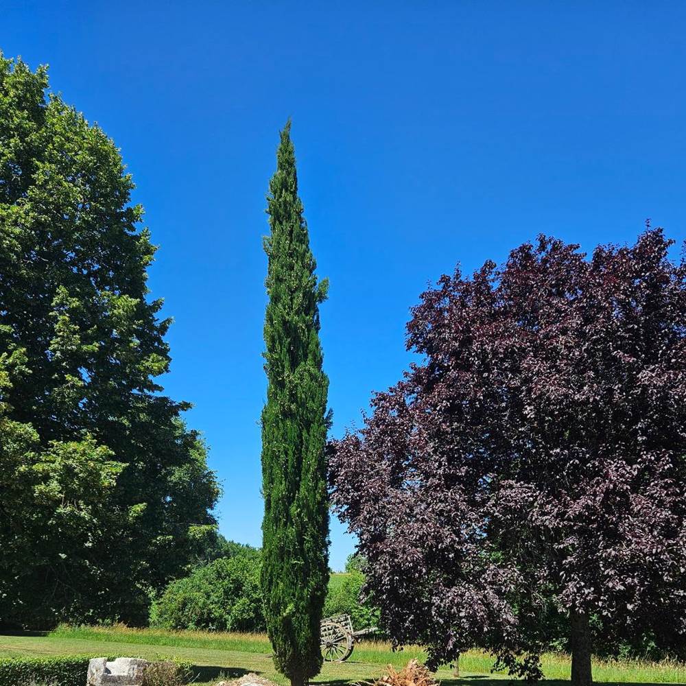 View from the carpark 2-presta