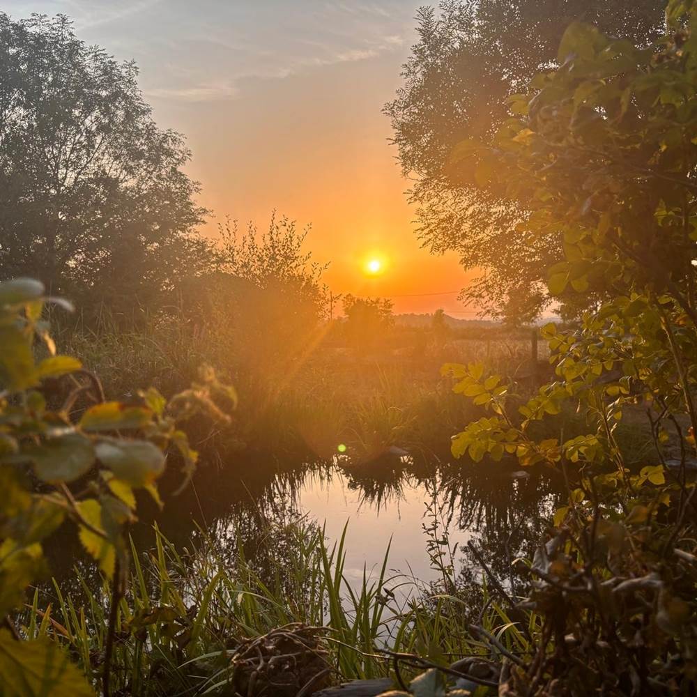 coucher-soleil-nature-etang-bien-etre-retour-calme-centres-aveyron-saisonnee.jpg-presta
