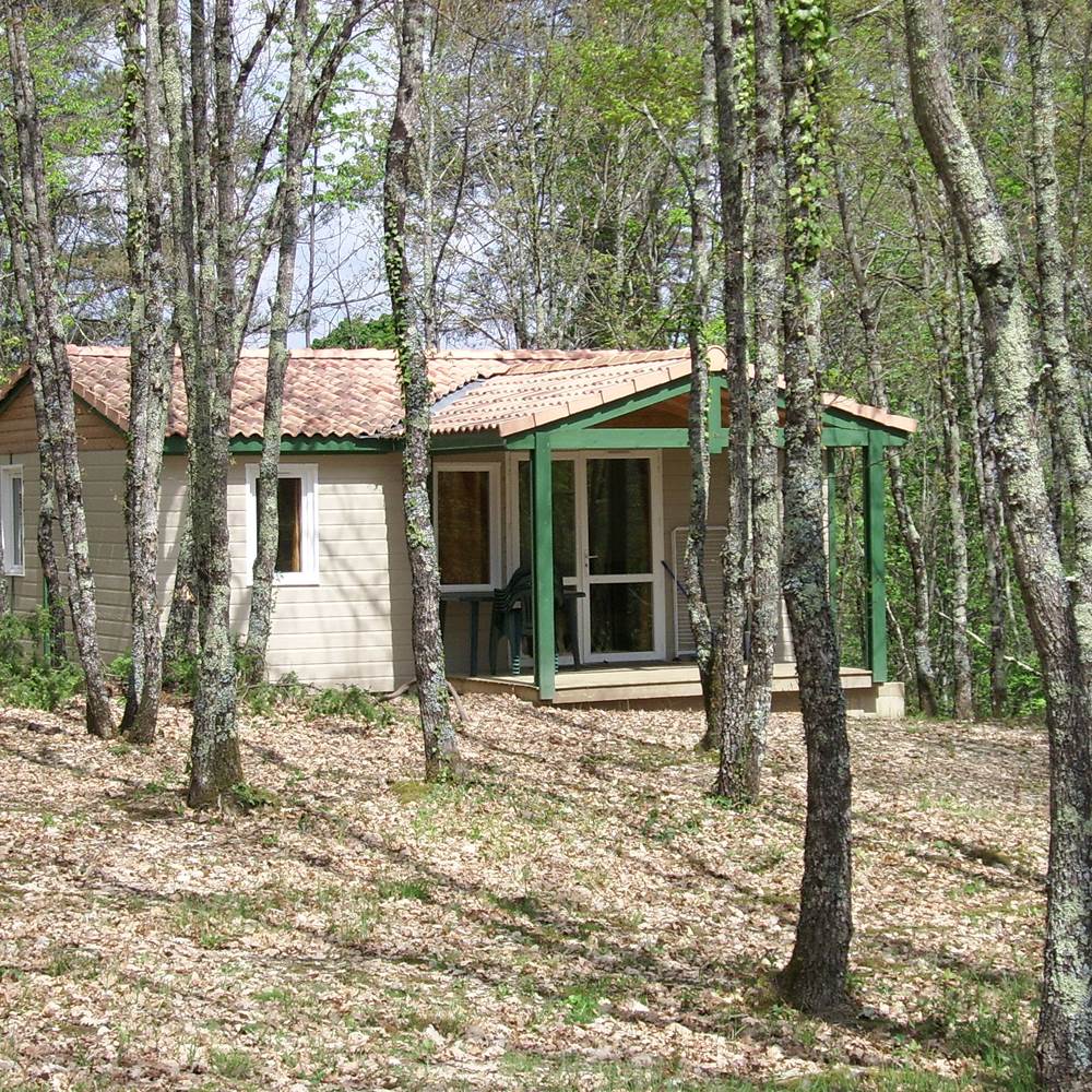 SSA50054-special-offers