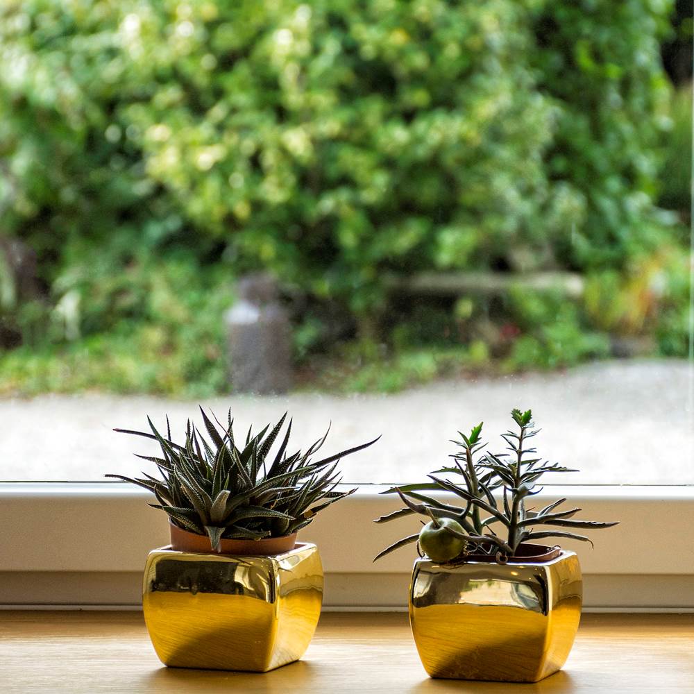 aufildeleau-cotentin-val de Saire-chambre d'hôtes