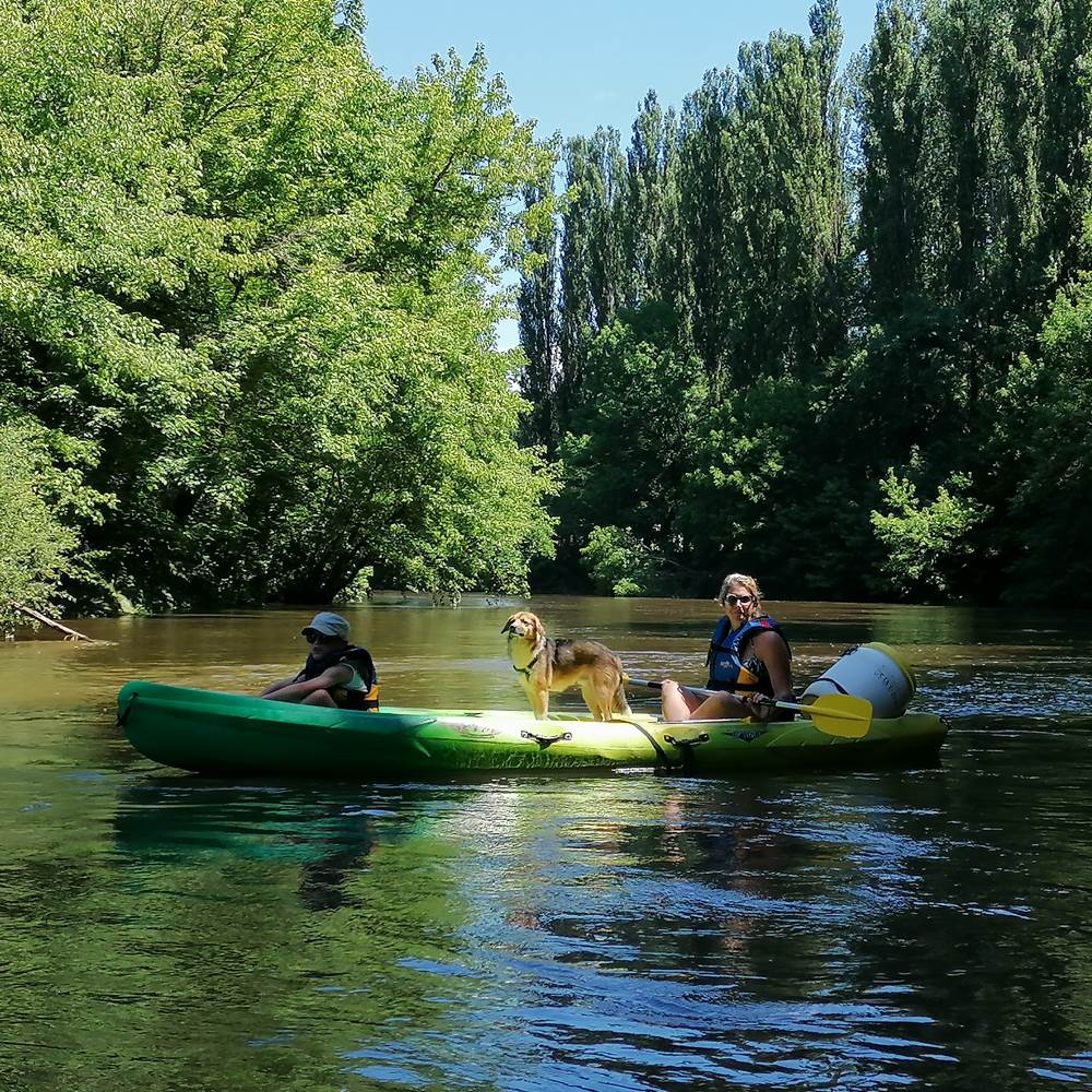 Les toutous sont les bienvenus-presta