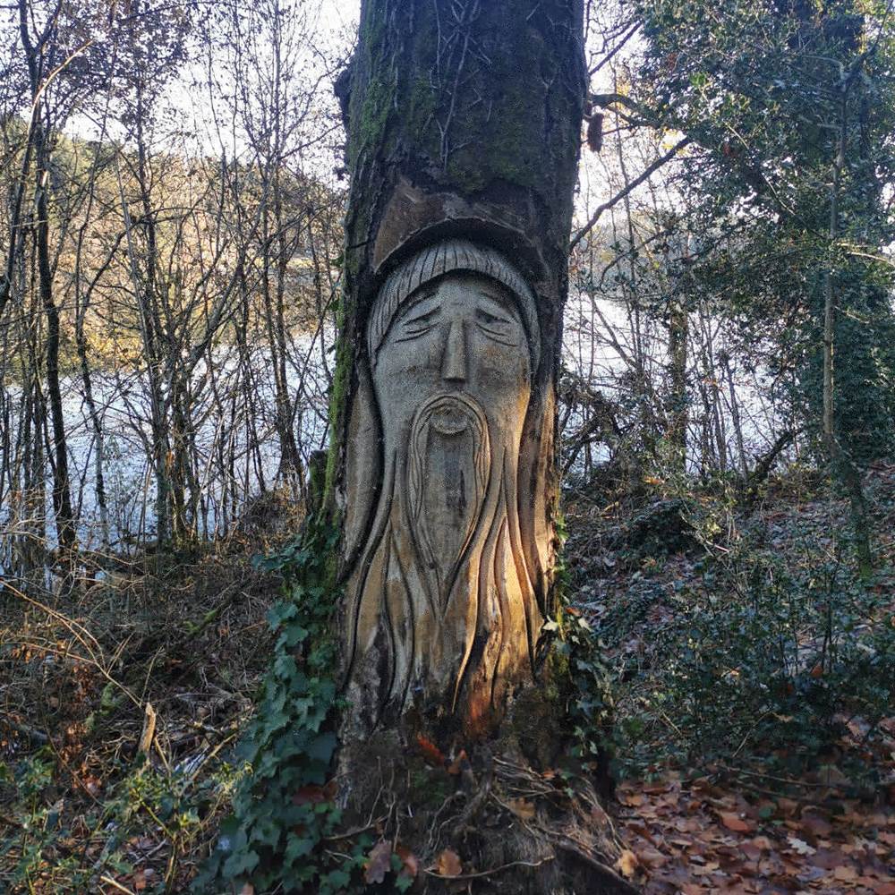 Les arbres sculptés-presta