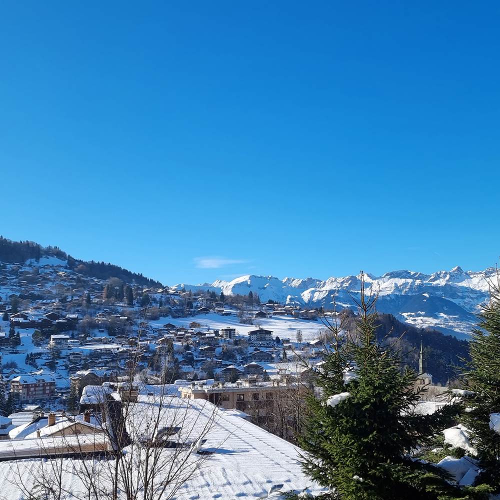 Vue depuis le chalet-gallery