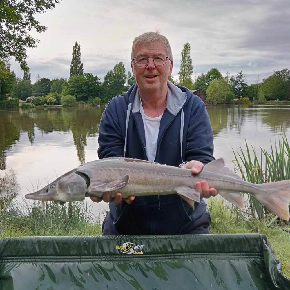 IMG_20250610_173800 (12)-presta