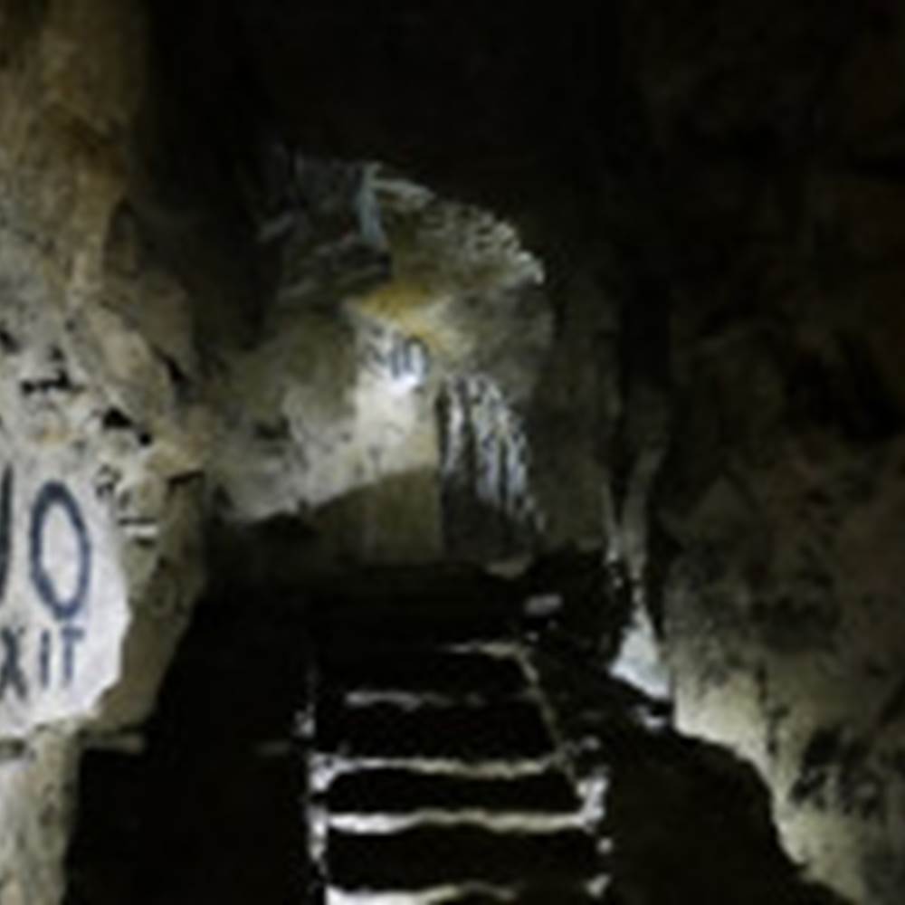 carriere wellington-presta