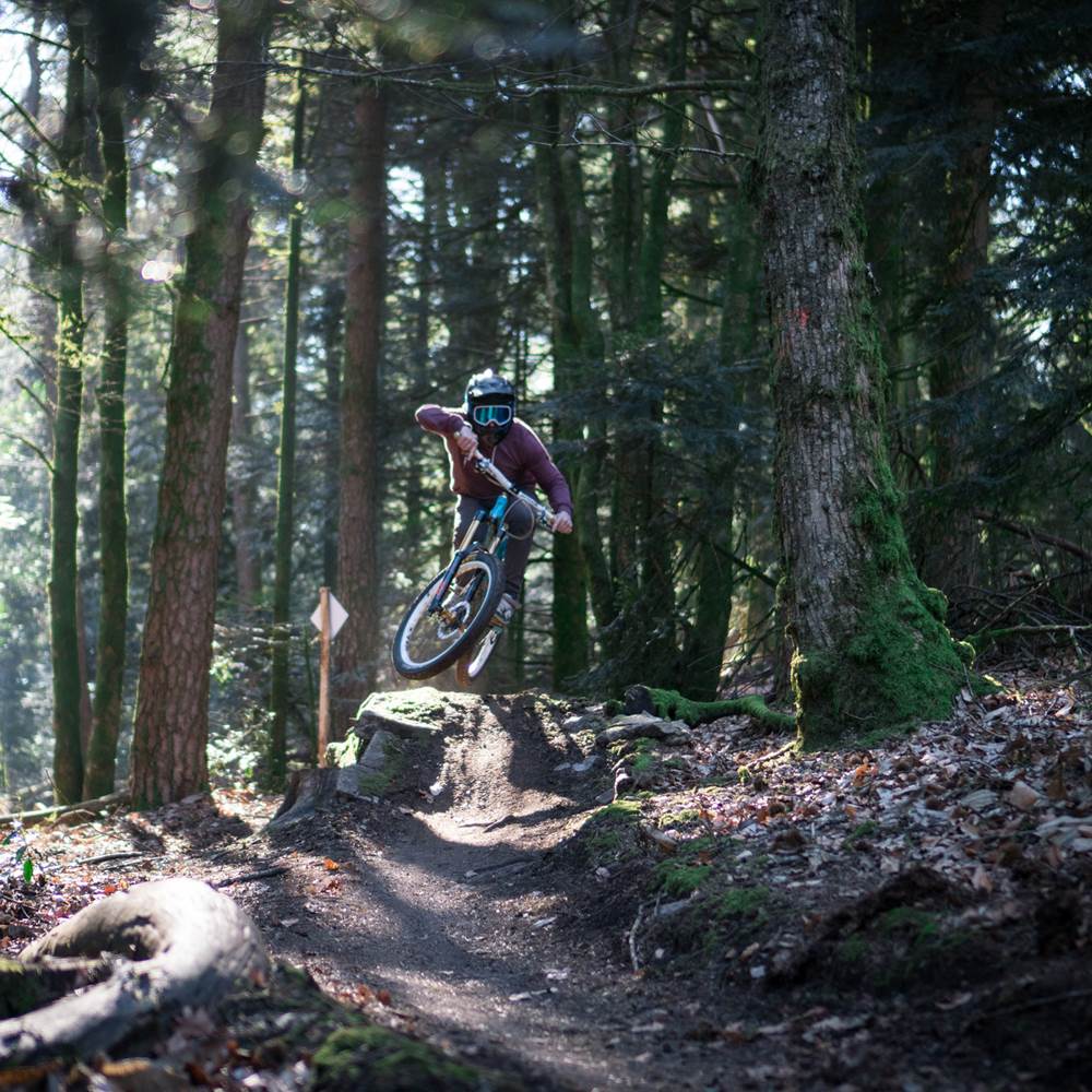 Bike Park Limousin-gallery
