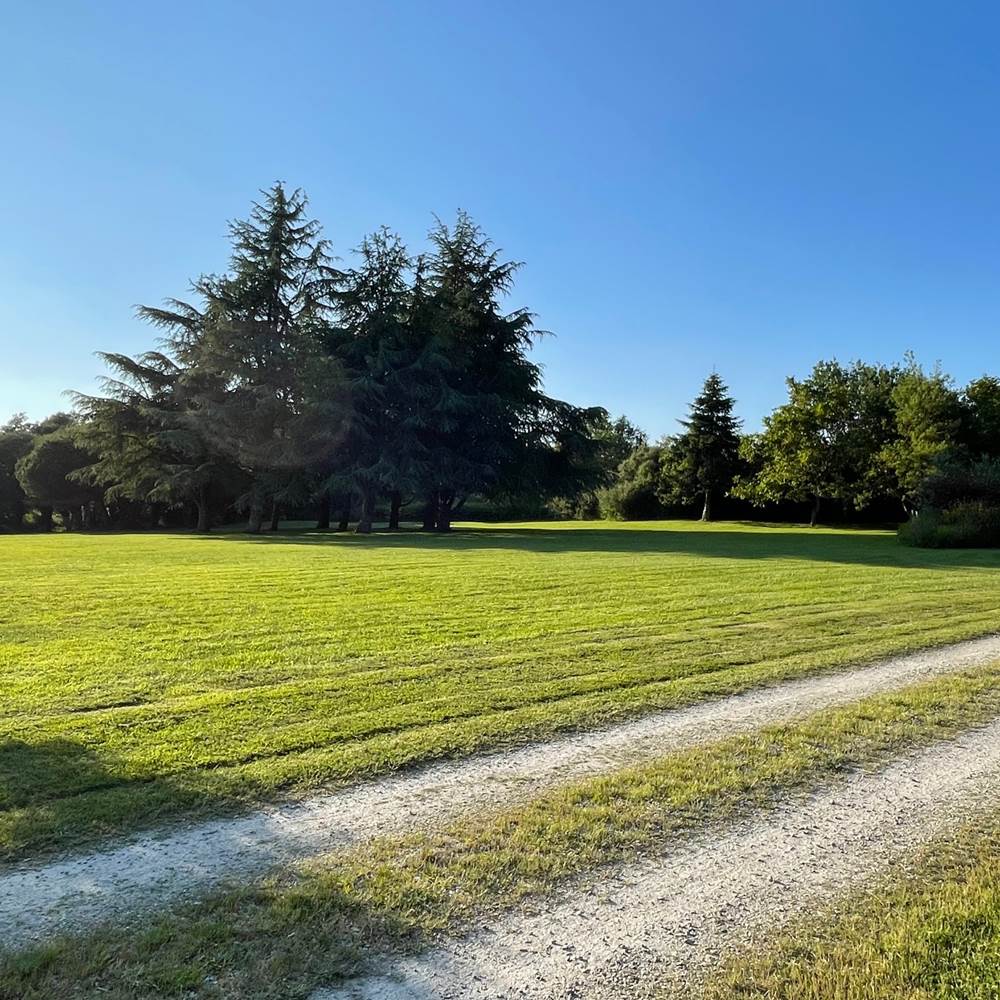 Très grand parc avec immense pelouse-gallery