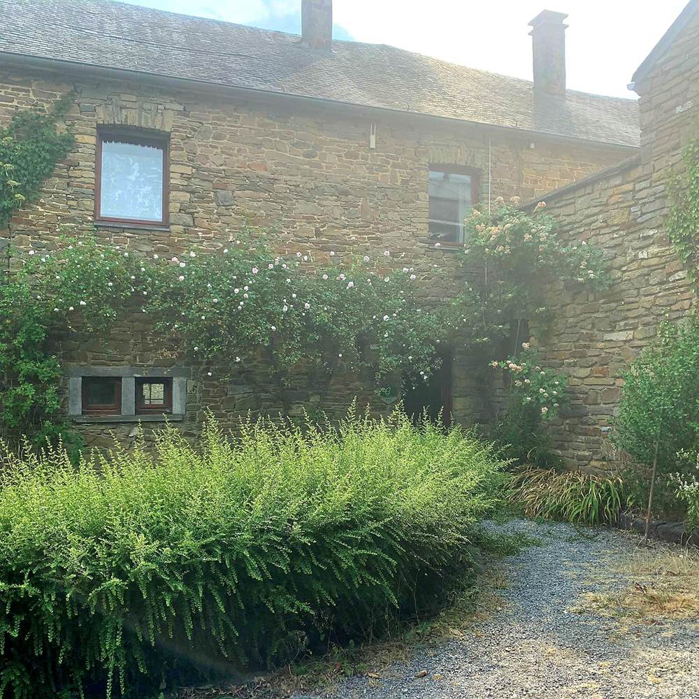 received_997351161697225-special-offers