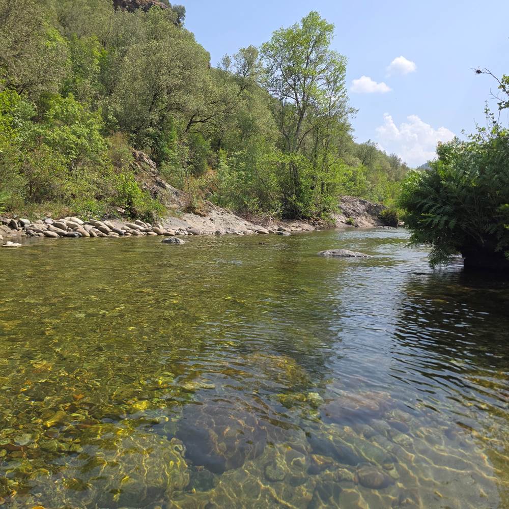 photo riviere2-gallery