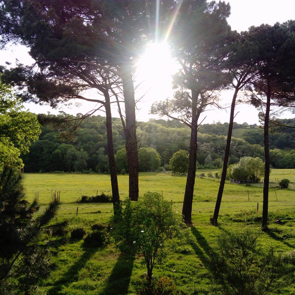 vue de la terrasse-gallery